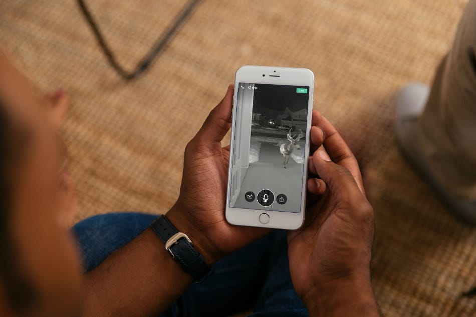 Caliente NV security system